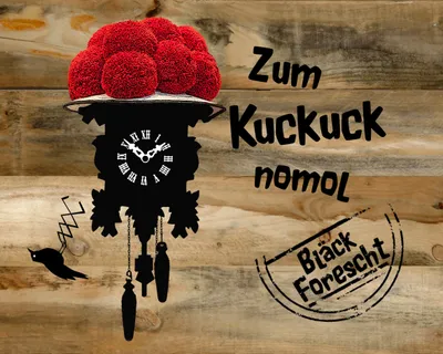 fotosinger.jpg